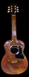 119: Taylor Acoustic 